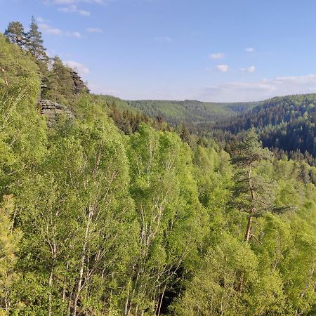 Ferienwohnung Saechsische Schweiz Rosenthal-Bielatal Bagian luar foto