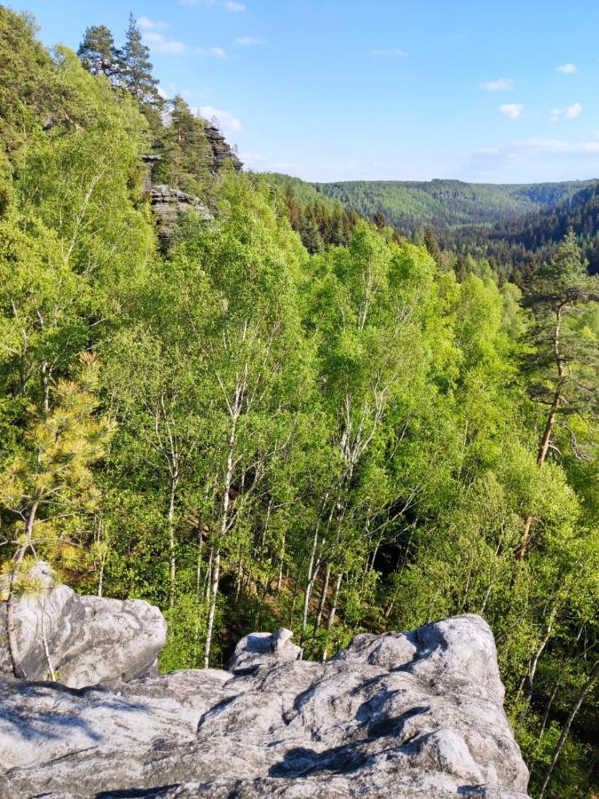 Ferienwohnung Saechsische Schweiz Rosenthal-Bielatal Bagian luar foto