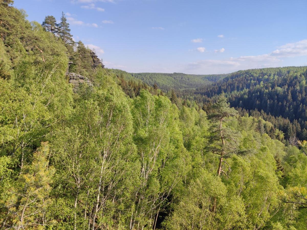 Ferienwohnung Saechsische Schweiz Rosenthal-Bielatal Bagian luar foto